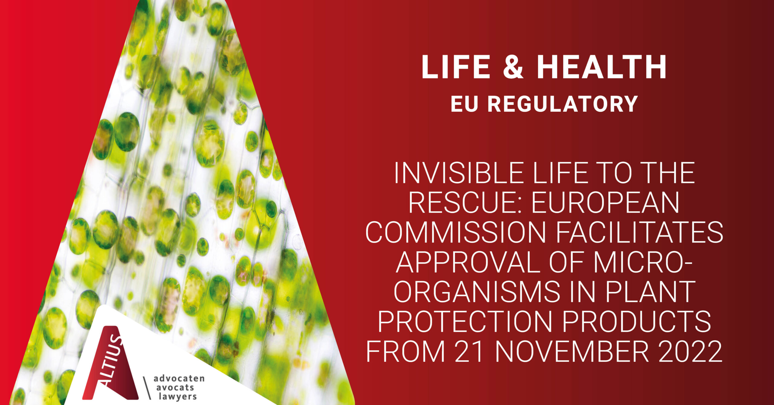 Invisible life to the rescue: European Commission facilitates approval of micro-organisms in plant protection products from 21 November 2022